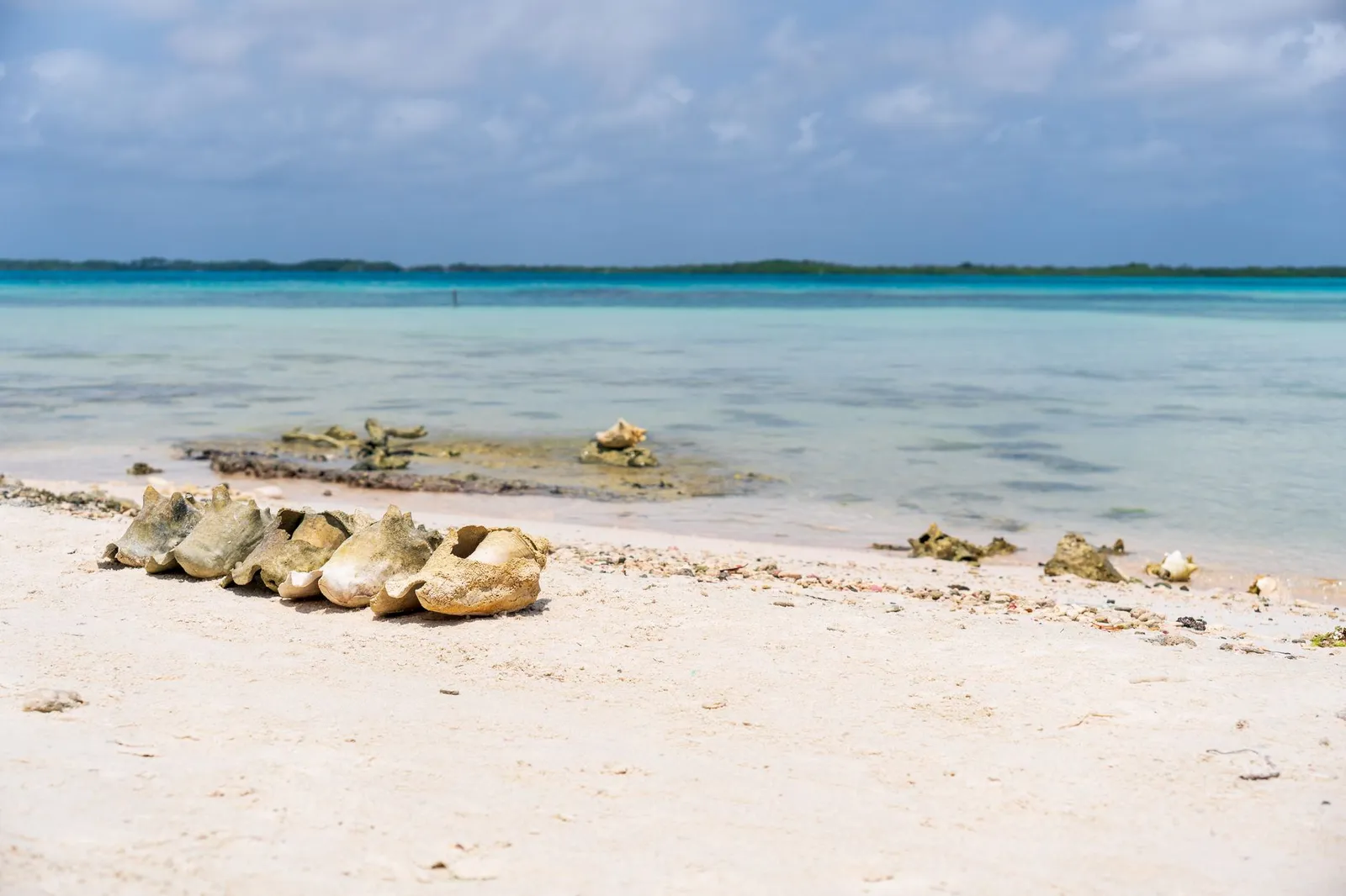 Cuenta Bancaria en las Islas Caimán - Cómo Abrir, Beneficios, Comisiones y Requisitos