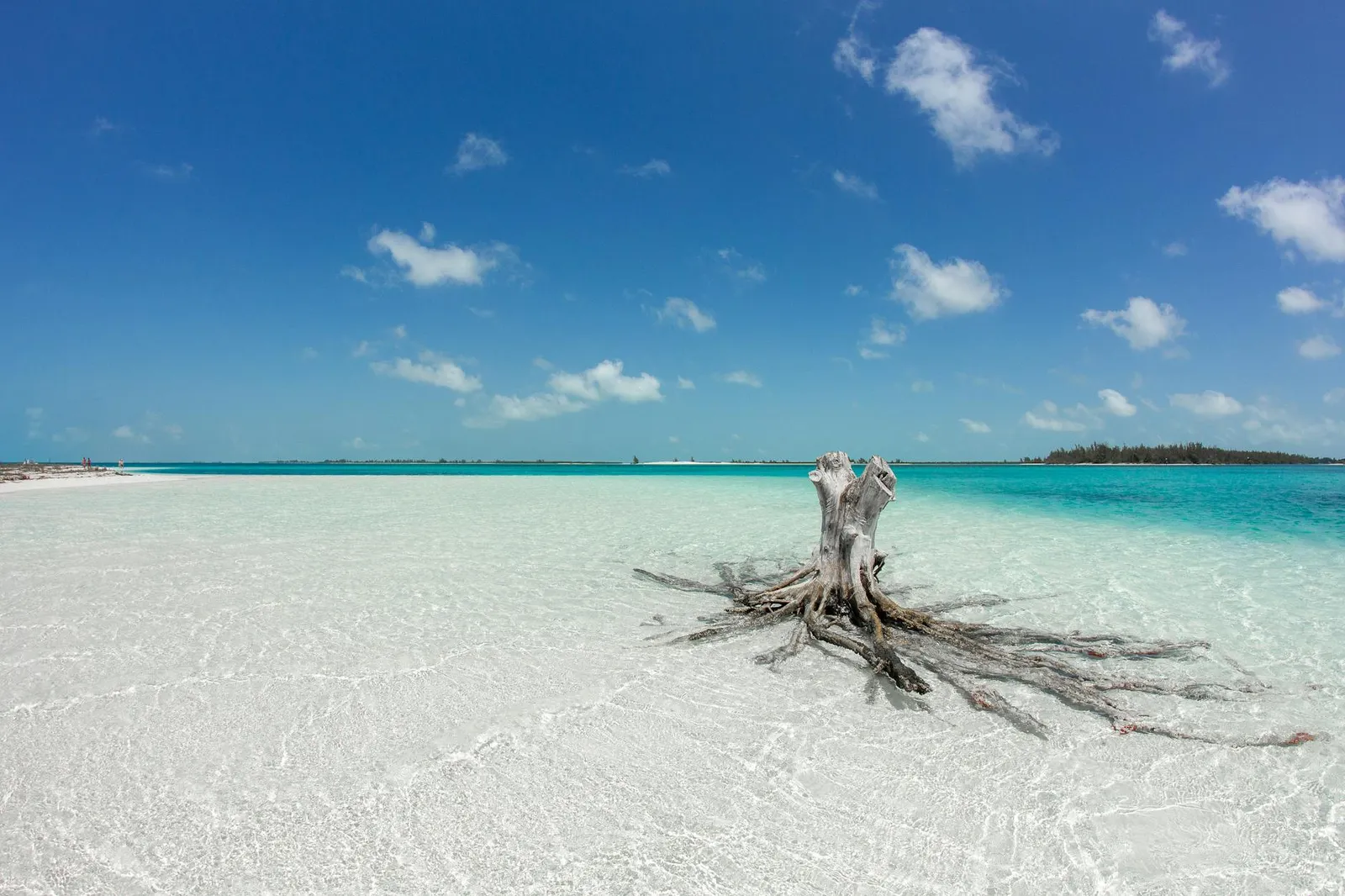 Comprehensive Guide to Bahamas Offshore Company Formation - Benefits, Process, and Tips