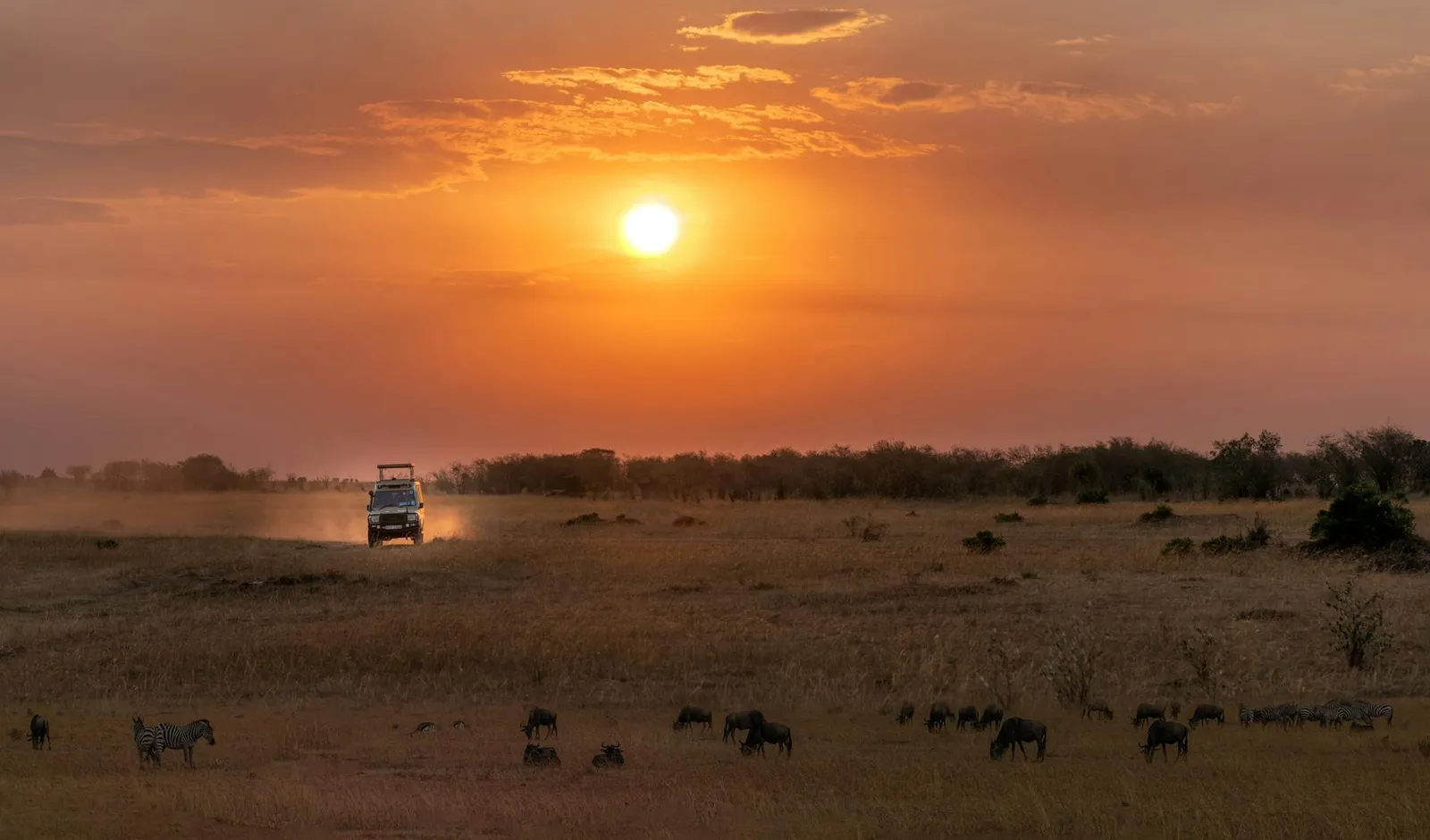 Essential Guide to Company Registration in Zimbabwe - Steps, Costs, and Benefits