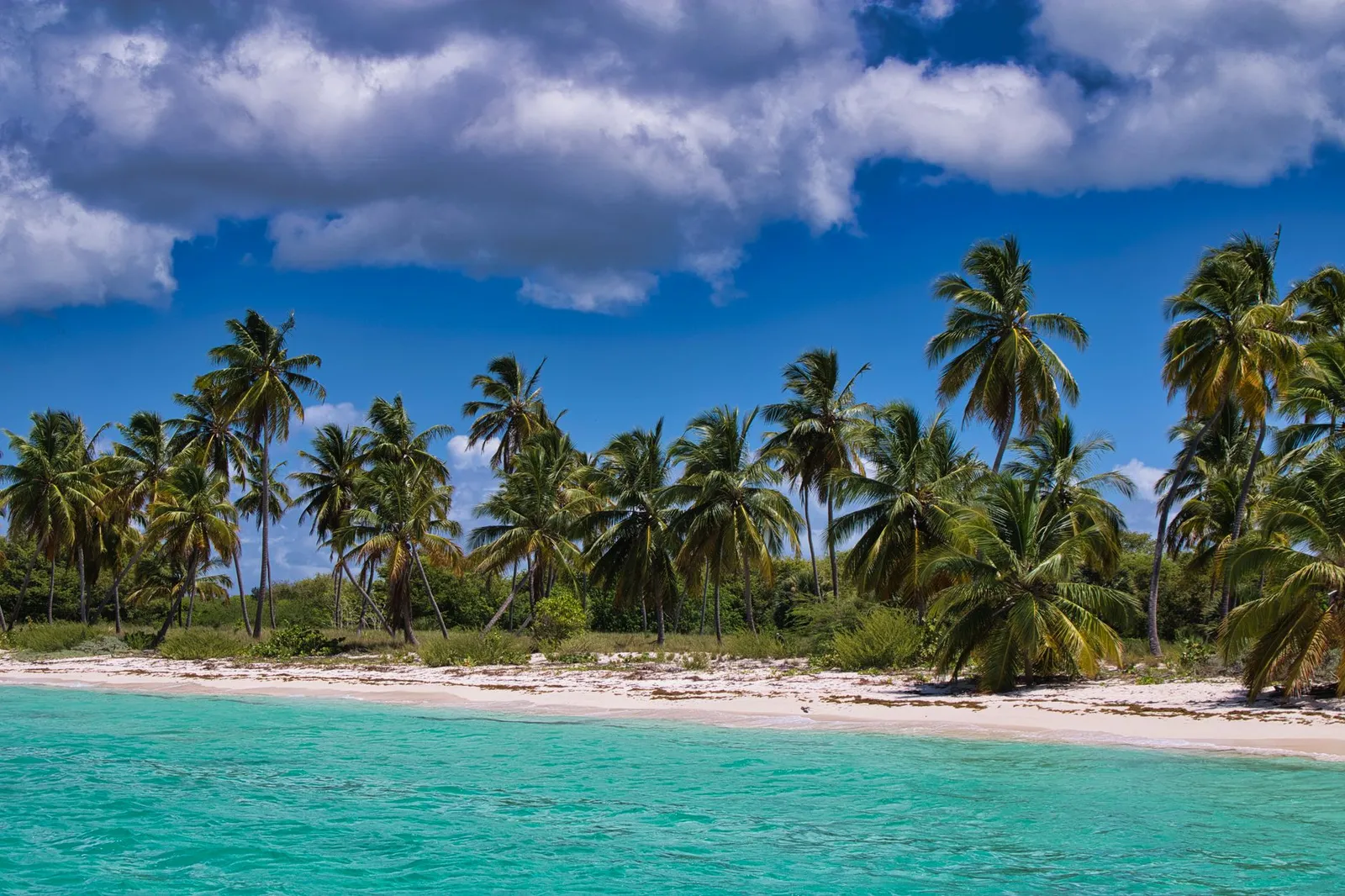 Establecer un Negocio en las Islas Caimán - Su Guía Definitiva para el Éxito