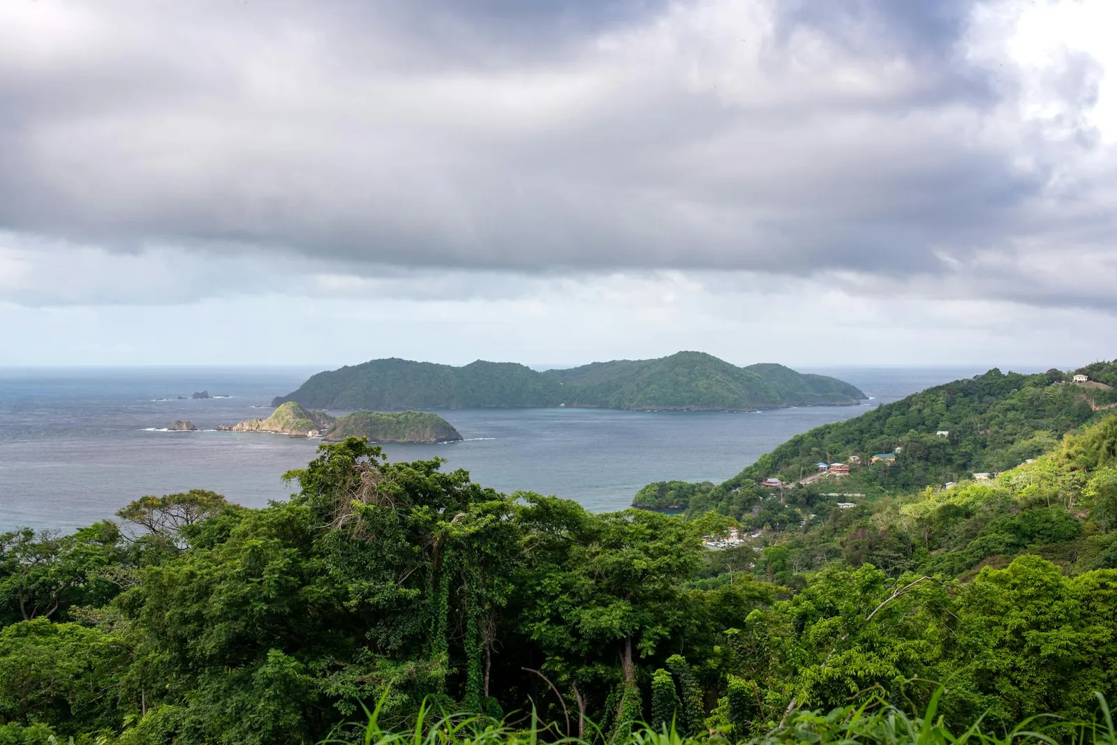 Establishing a Saint Lucia Company with a Local Bank Account - Your Complete Guide