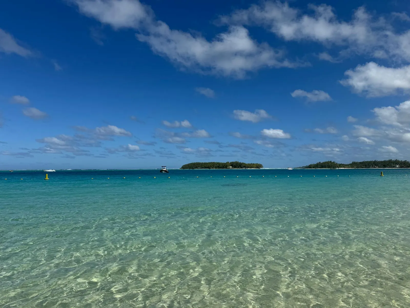 Expert Guide to Mauritius Company Formation and Registration - Step-by-Step Process