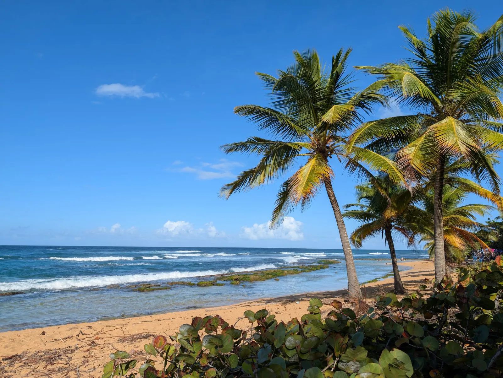 Formación de una LLC en Nevis: Beneficios, Proceso y Consideraciones Clave