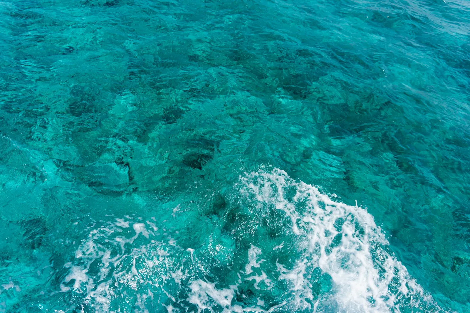 Guide to Company Registration in the Cayman Islands - Steps, Benefits, and Requirements