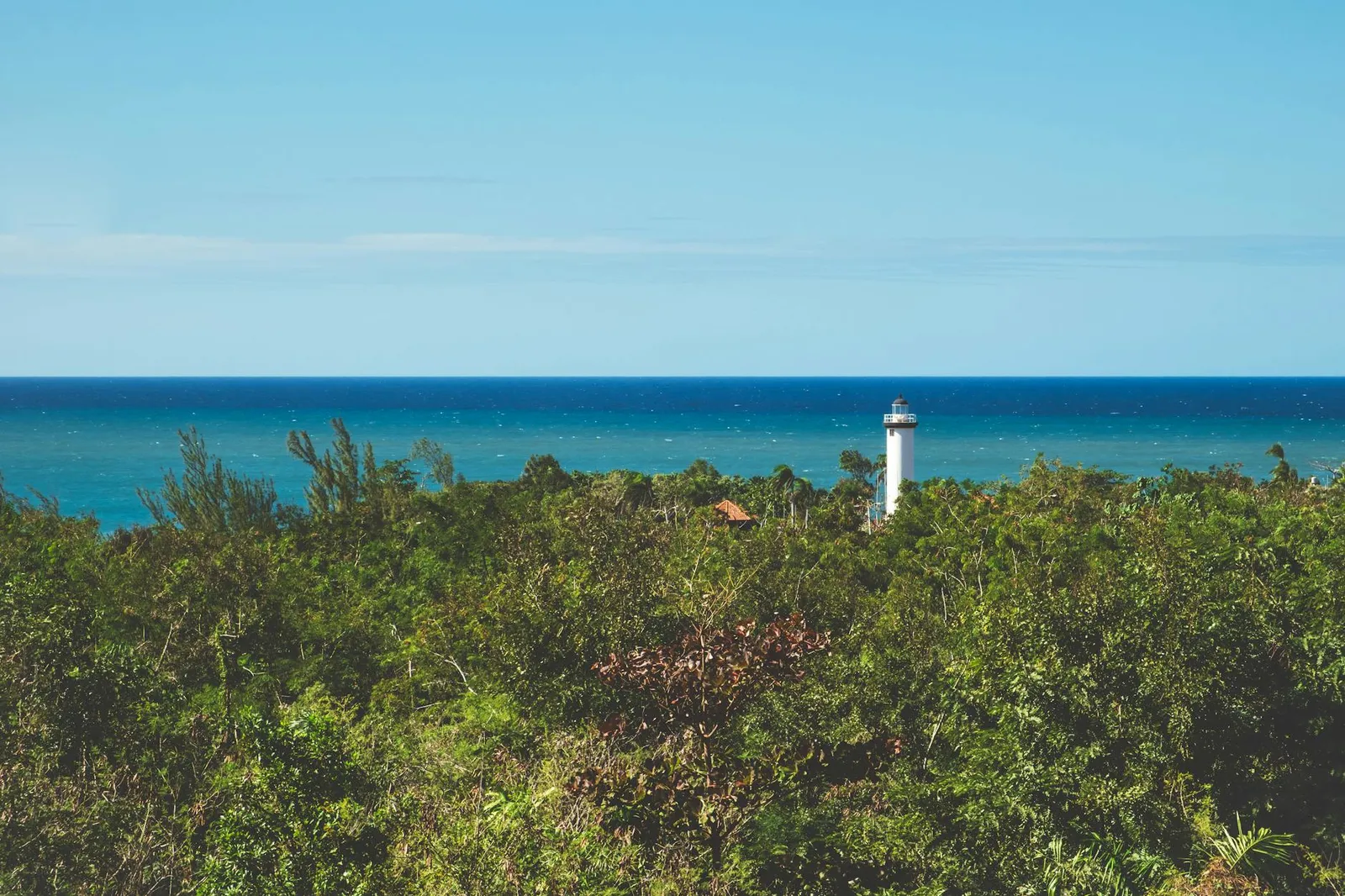 How to Form a Belize LLC - Your Complete Guide to Limited Liability Company Formation