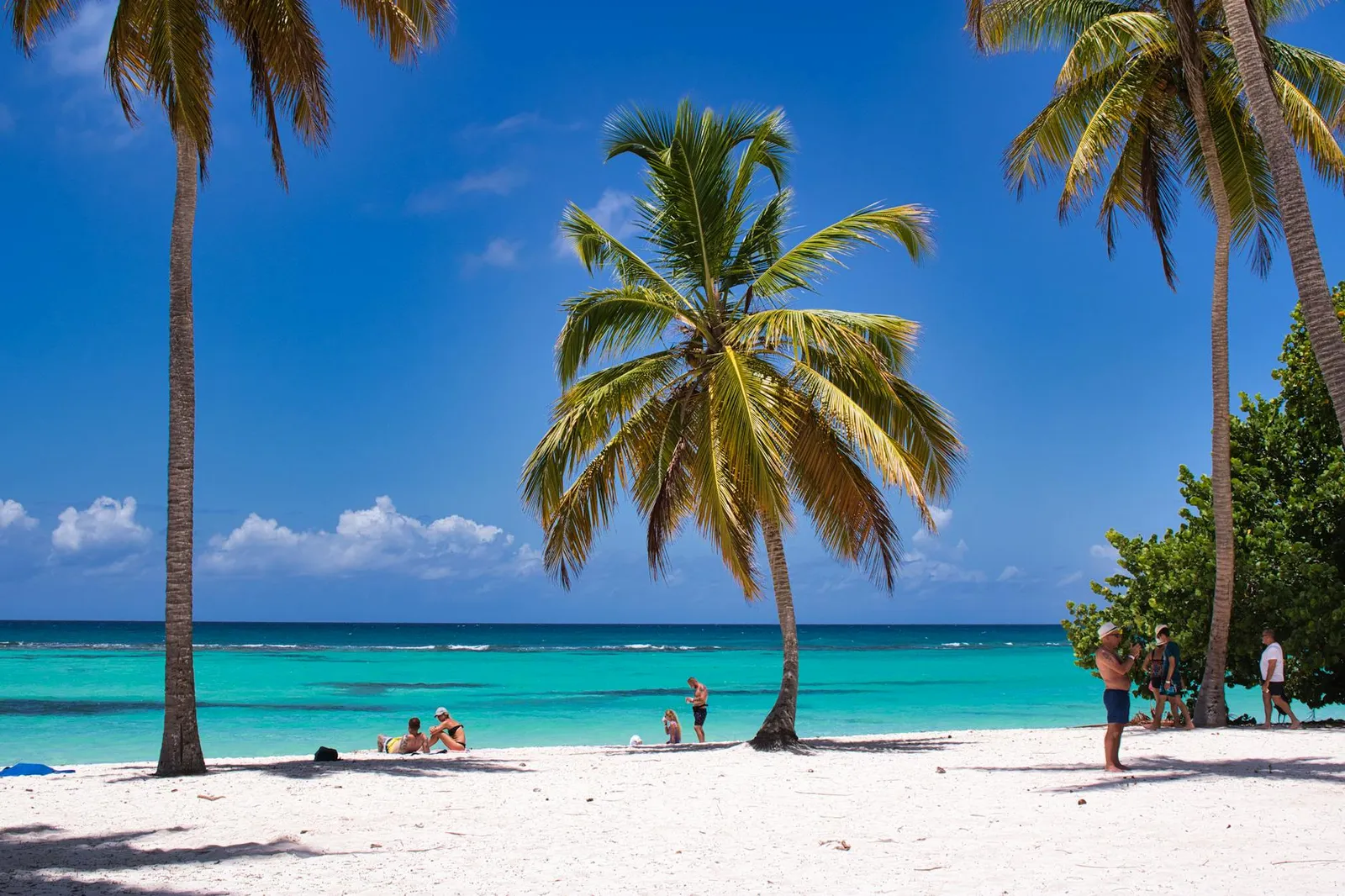 LLC Company Registration in Nevis - Your Complete Guide to Starting a Business
