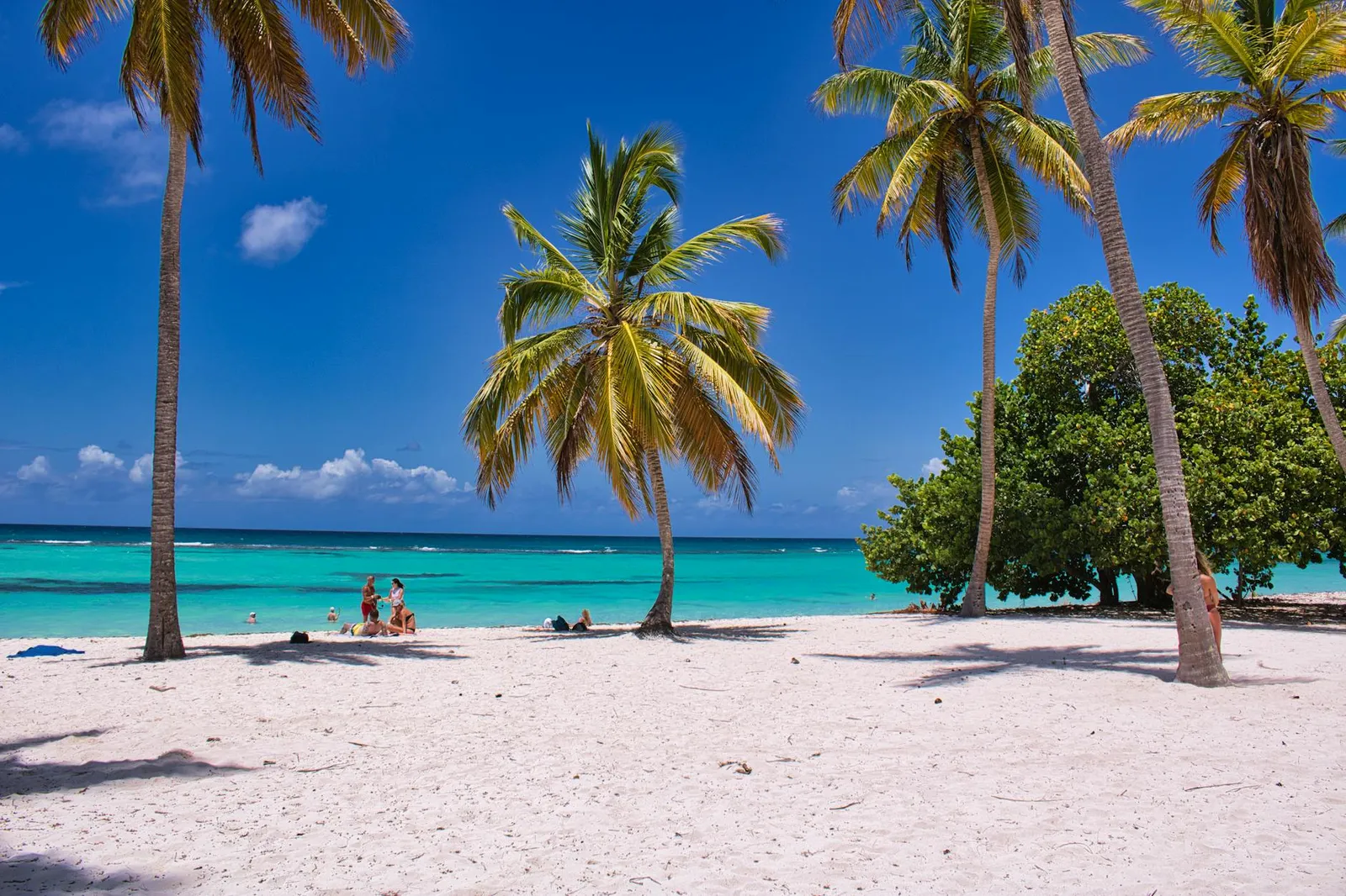 Nevis Offshore Company - Benefits of LLCs for Global Entrepreneurs