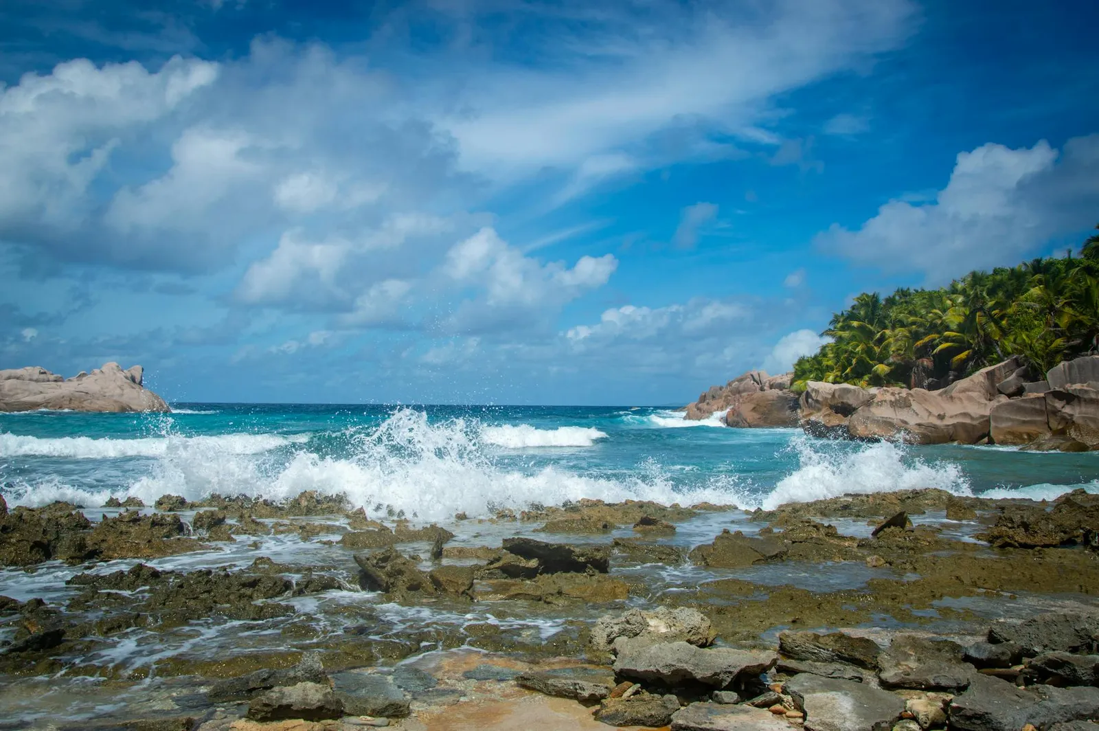 Seychelles Offshore Company Registration 2025 - Key Insights and Benefits
