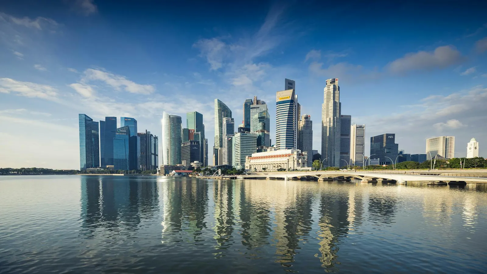 Unlock Your Financial Potential with Singapore Bank Account Package 1390