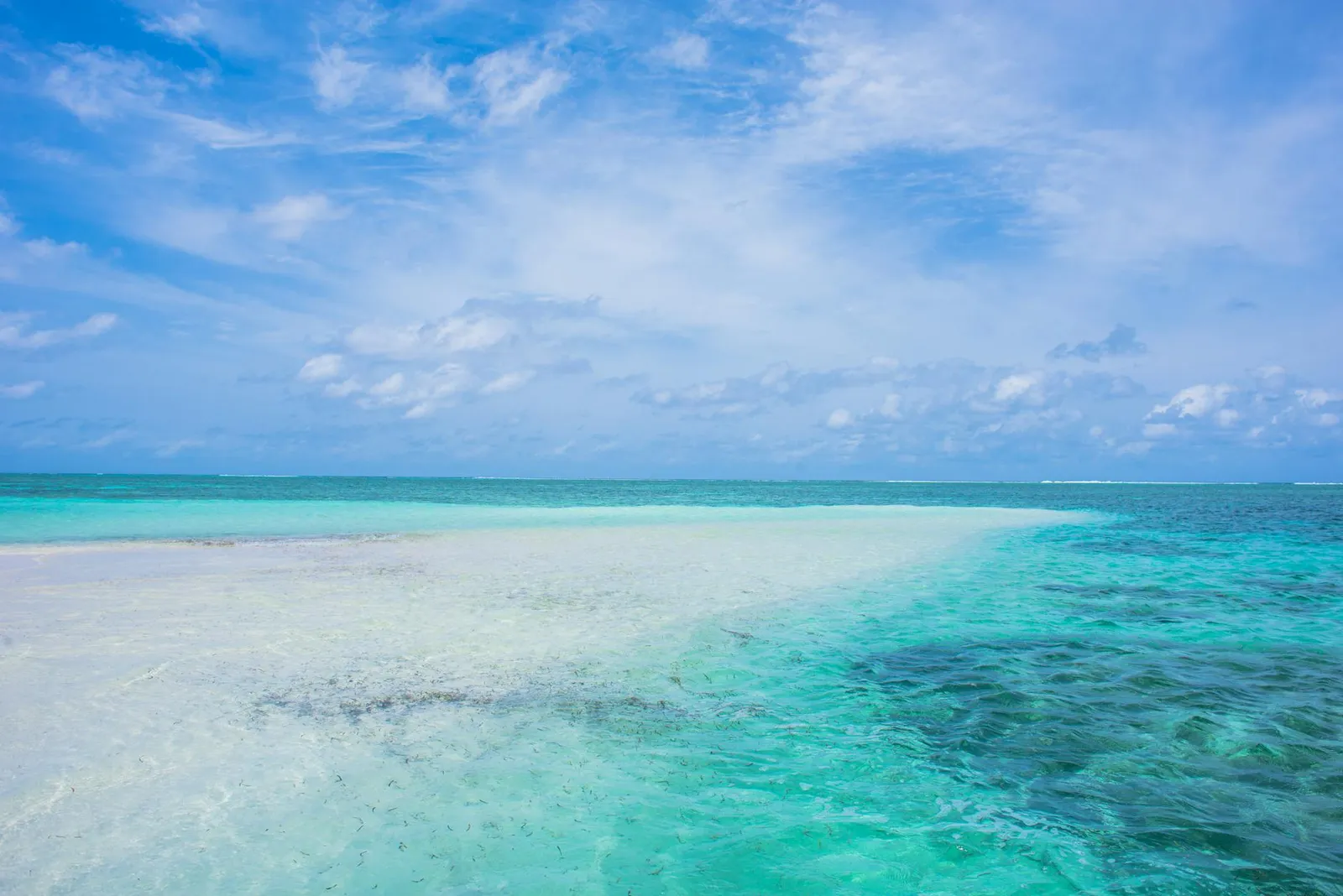 Unlocking Business Potential - Why You Should Consider Opening an Offshore Company in the Bahamas