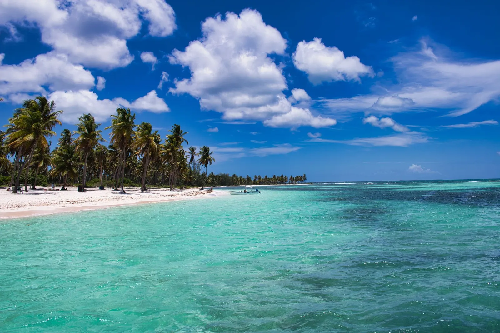 Desbloqueando Oportunidades - Su Guía para Obtener una Licencia de Criptomonedas en las Islas Caimán