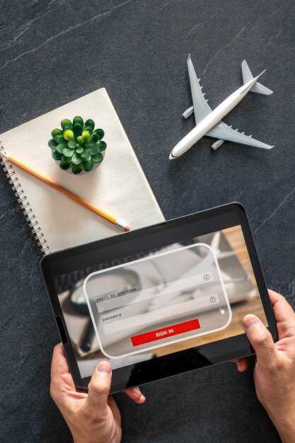 Understanding the Consular Information Portal