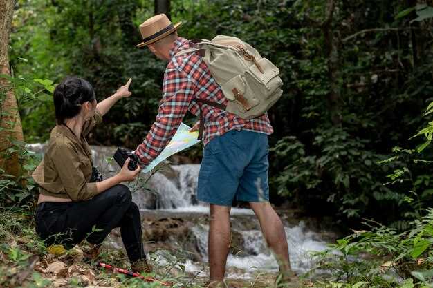 Forest Safety, Permits, and Gear for Hikes and Night Walks