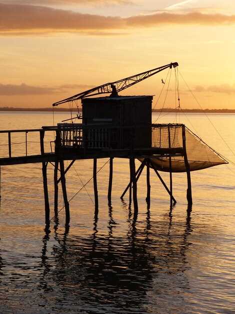Foundational Options in Curacao: SPF vs Private Foundations and Trust Structures