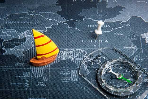 选择公司类型：自由贸易区内的全外资、合资企业或分公司