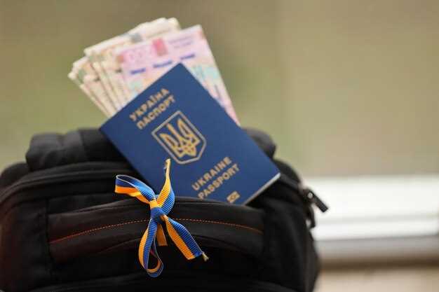 Understanding Citizenship by Investment Programs
