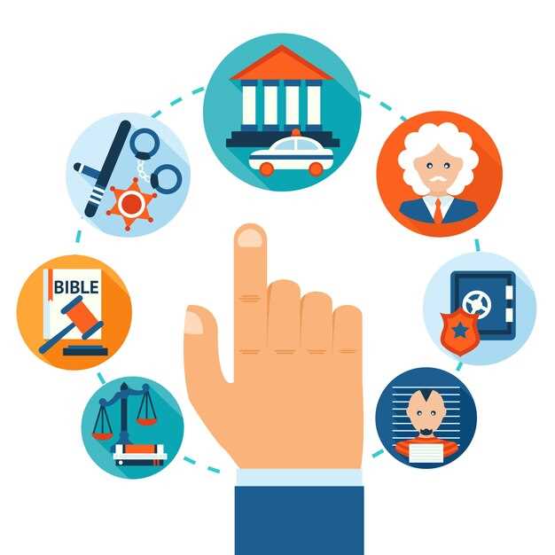Profiles of the five SZFA corporations: sectors, governance, and compliance