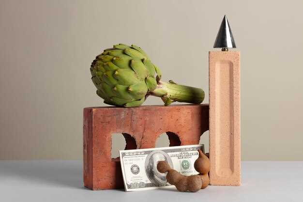 Historical Perspectives on Store of Value